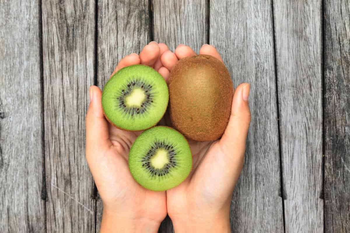 Jenny Kiwi Fruit