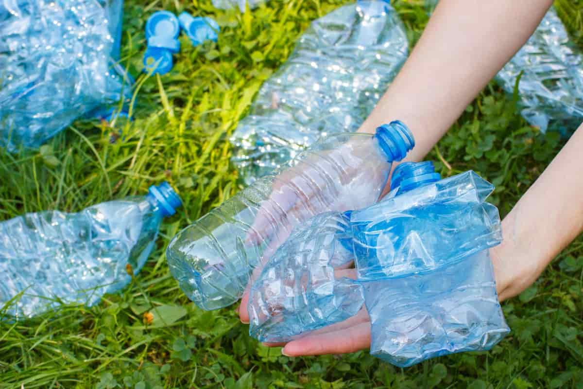 disposable plastic bottles with lids