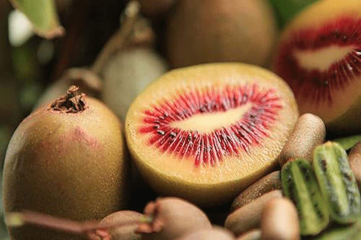 red Kiwi Fruit
