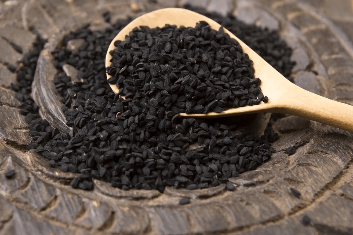 black fennel seeds benefits
