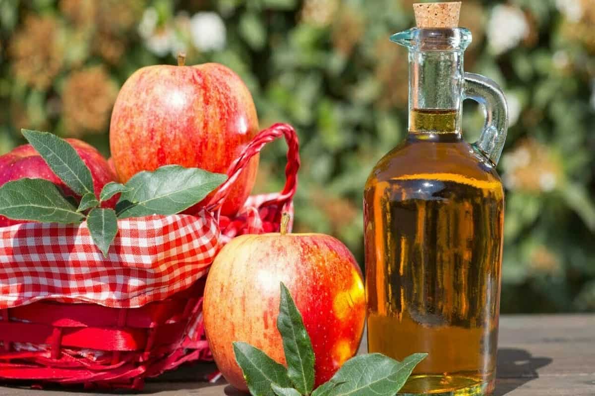 organic vinegar benefits