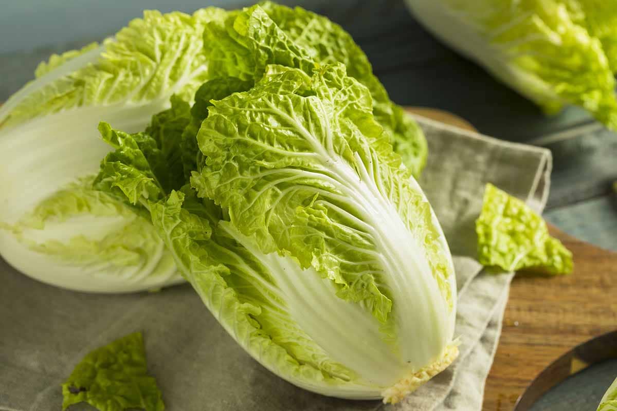 chinese cabbage nutrition