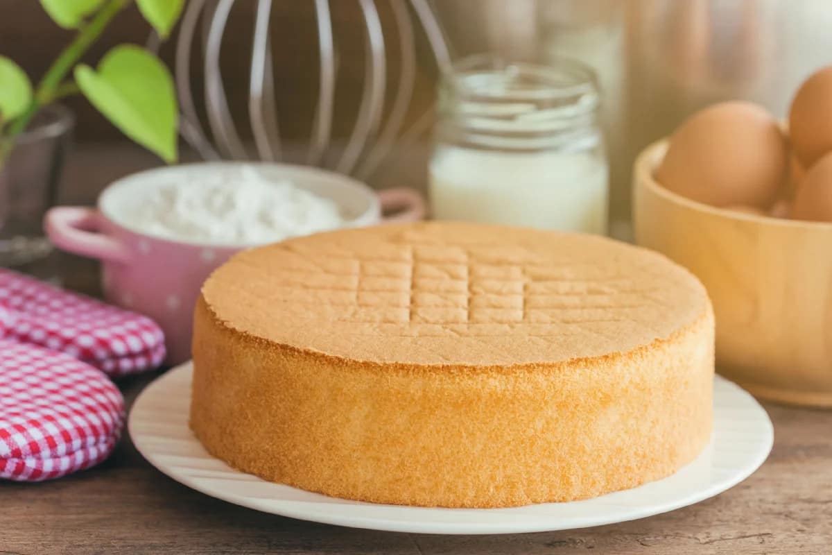 vanilla cake sponge