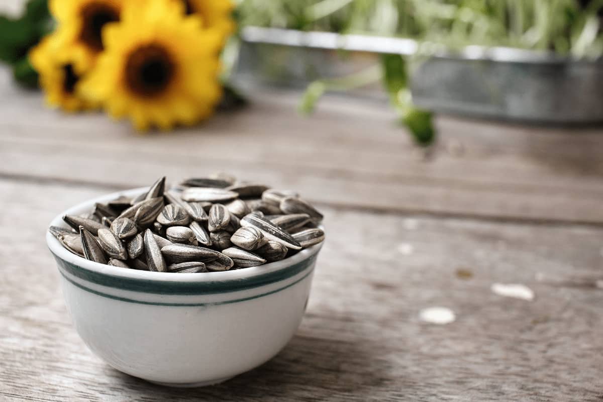 Sunflower Seed nutrition
