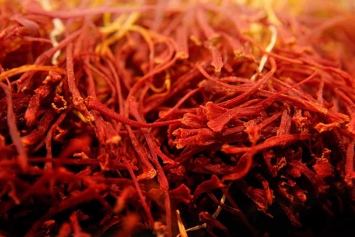 saffron spice kitchen