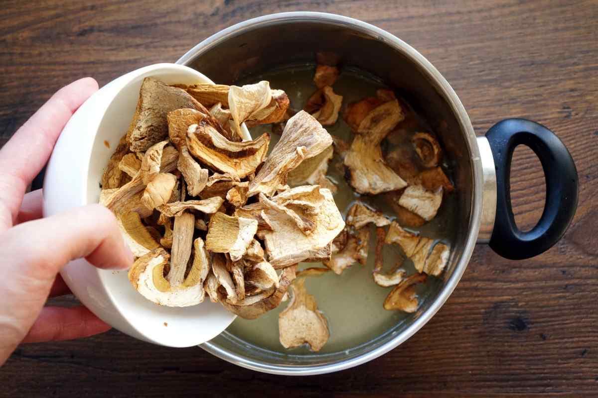 dry mushroom soup