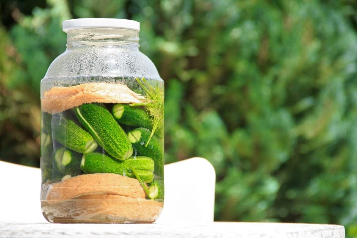 pickled cucumber korean