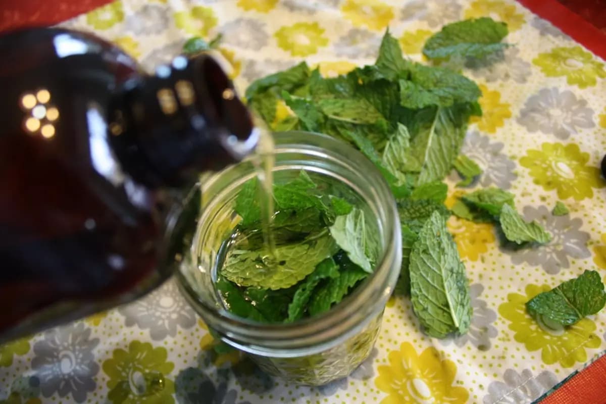 mint extract uses