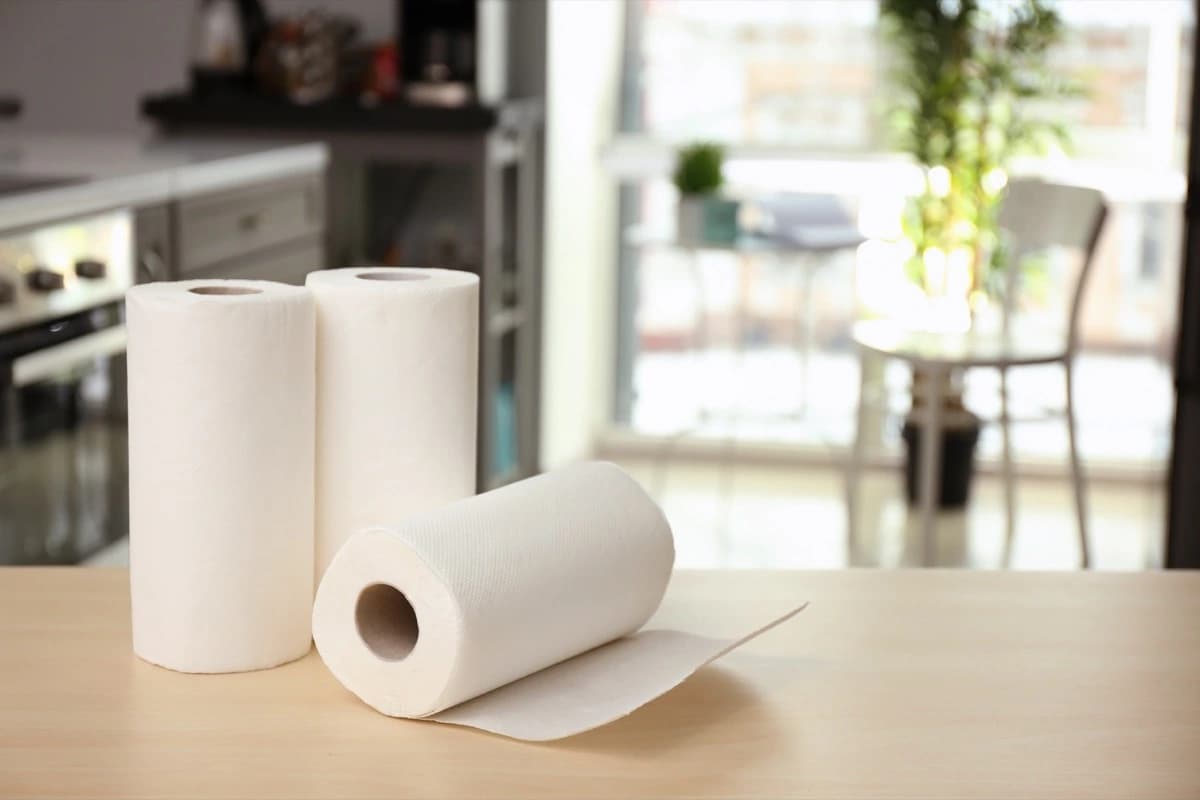 paper towel brands