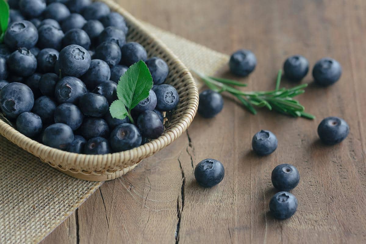 blueberry dry fruit uses