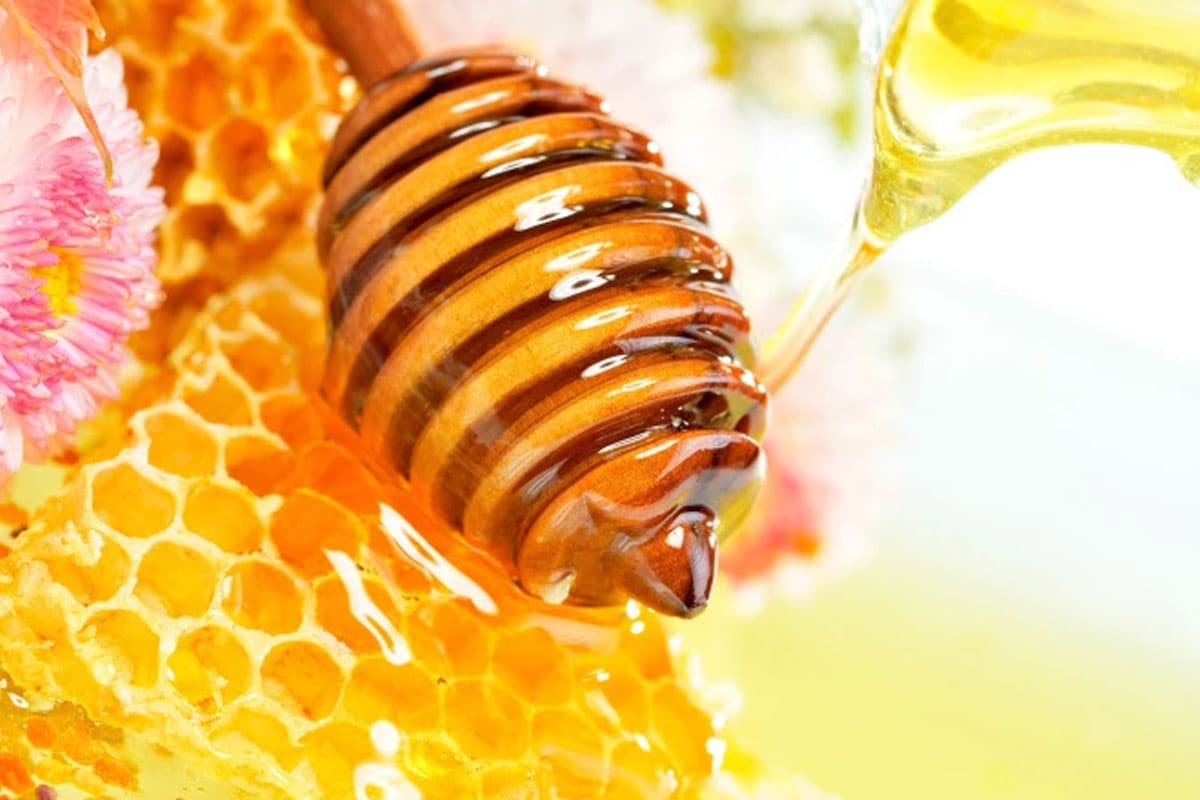 honey benefits for men