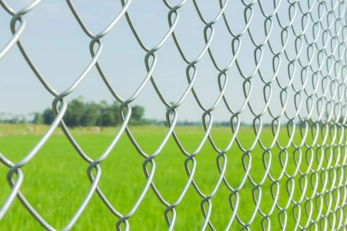 fencing mesh wire