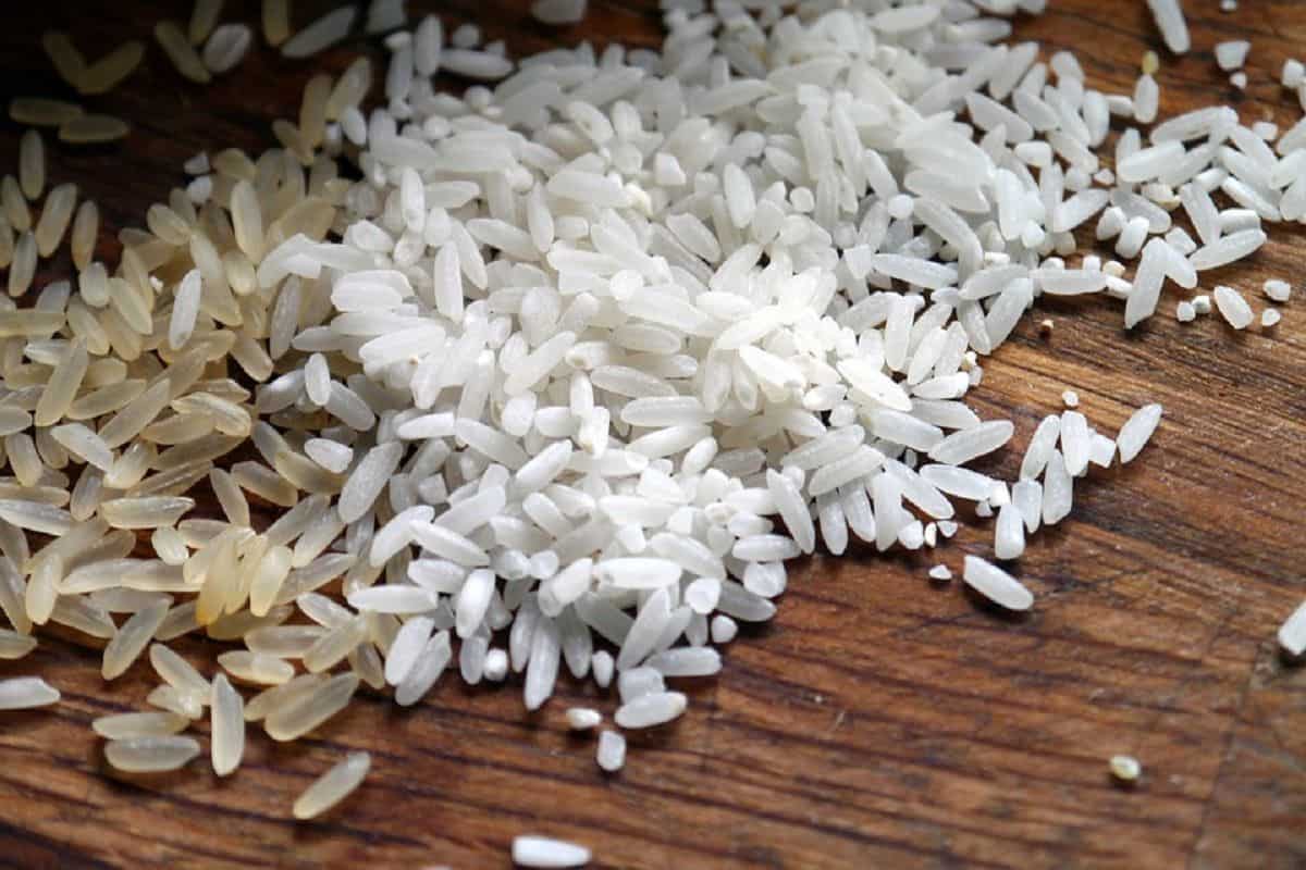 steamed raw rice