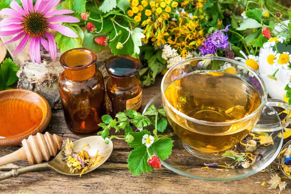 herbal tea brands