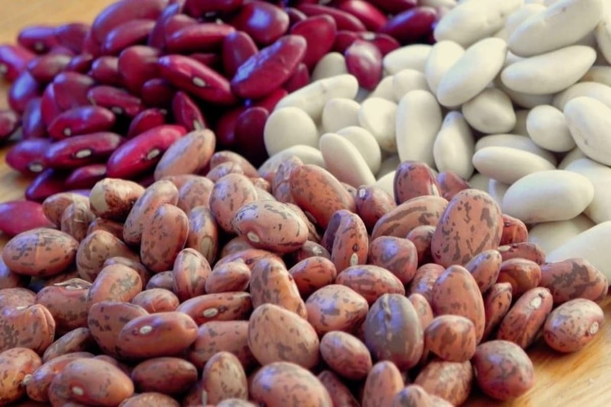 Red Haricot Beans nutritins