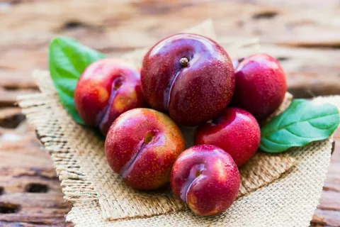 red plum varieties