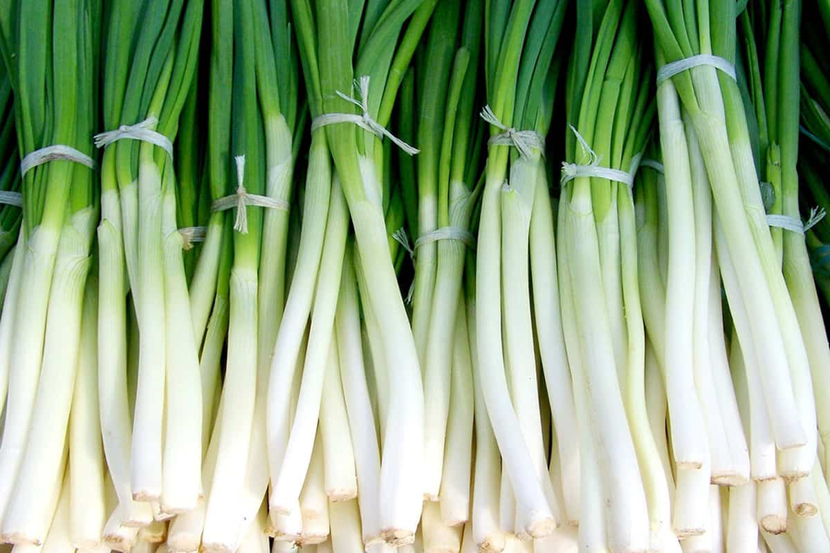 green onion substitute