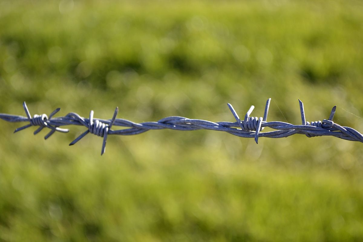 Fence Barbed Wire