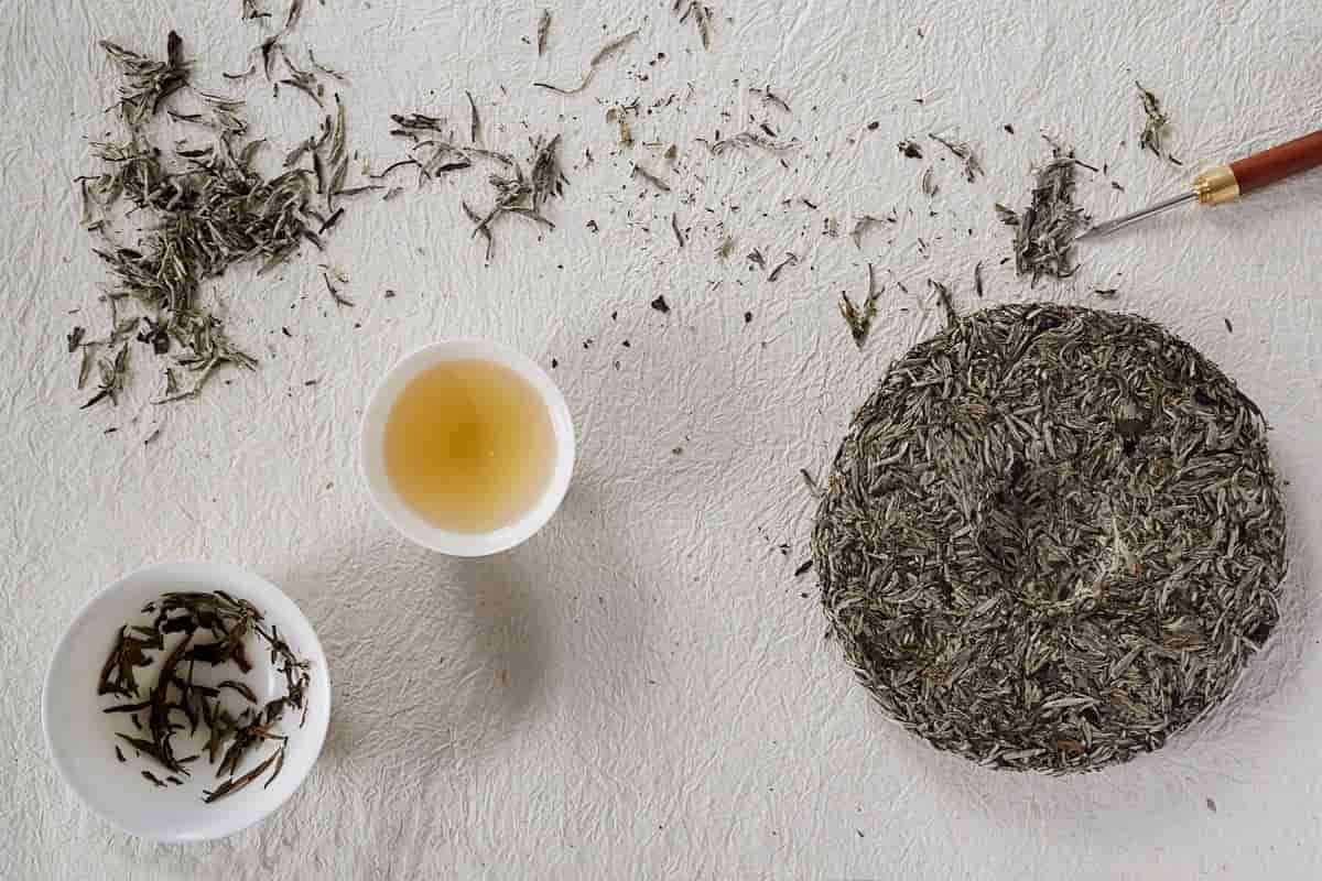 white tea herbal