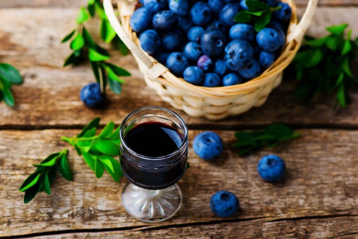 blueberry leaf extract benefits