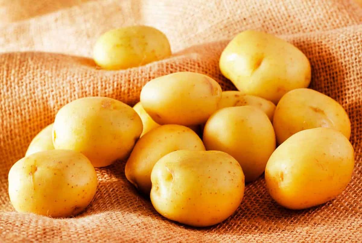 yellow potato calories