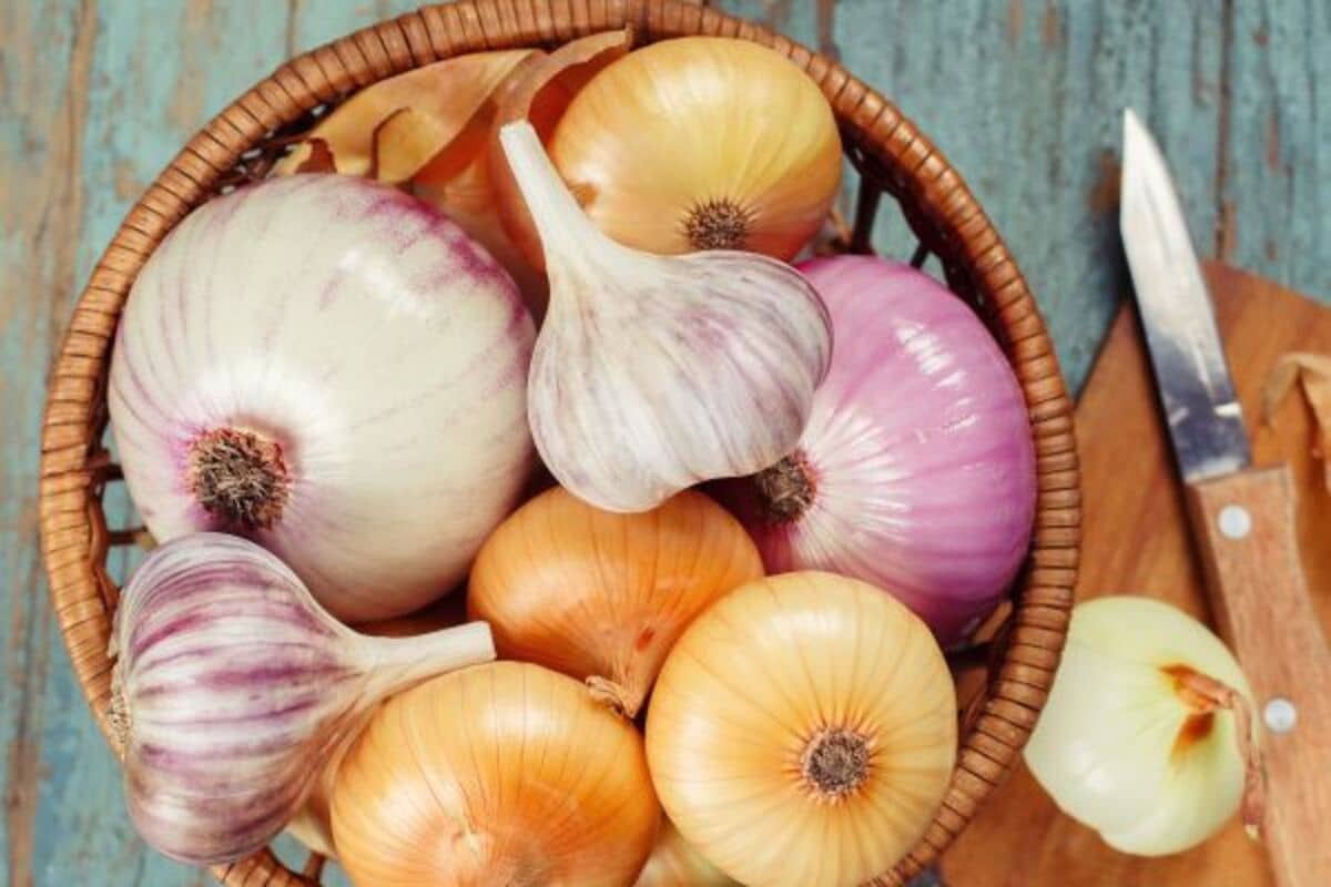 small onion benefits