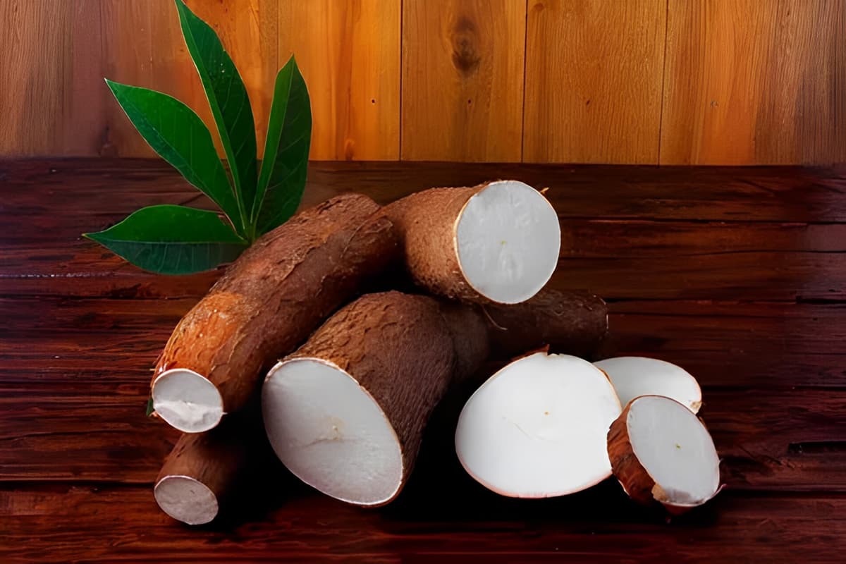 yucca root nutrition