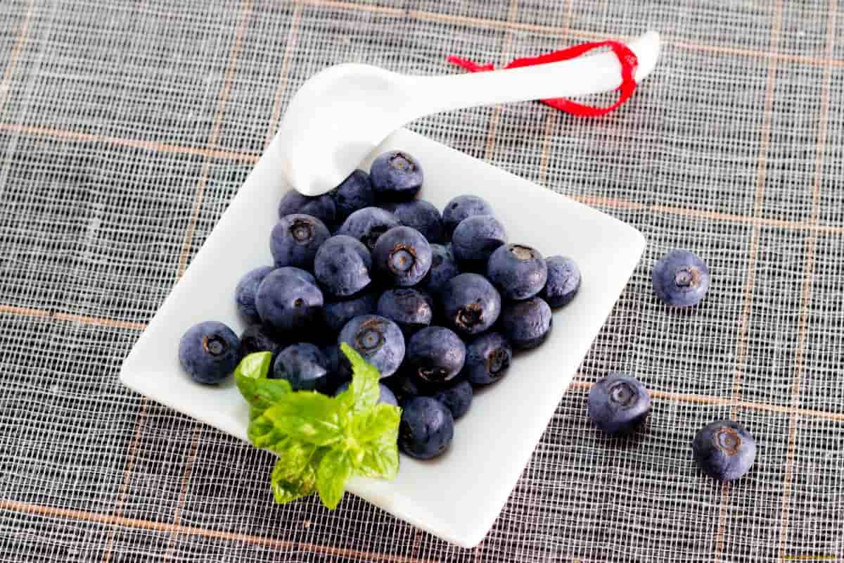 blueberry dry fruit benefits
