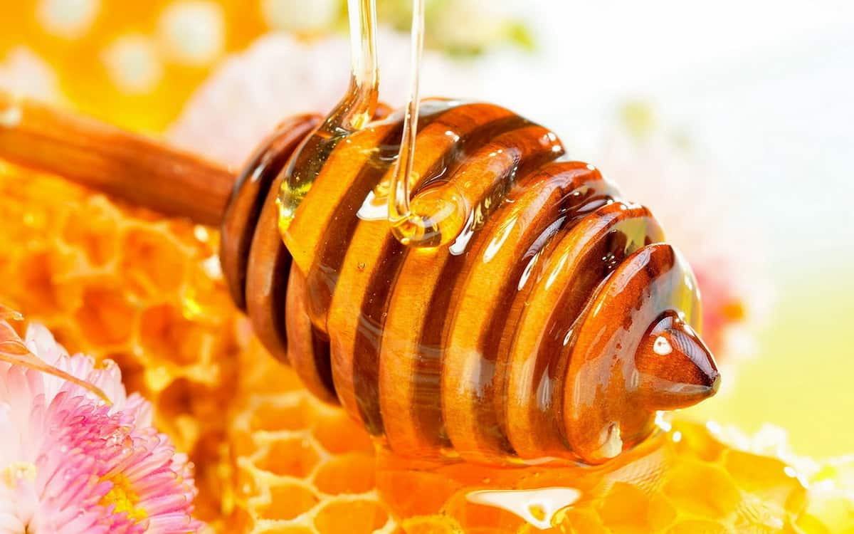 patanjali honey review