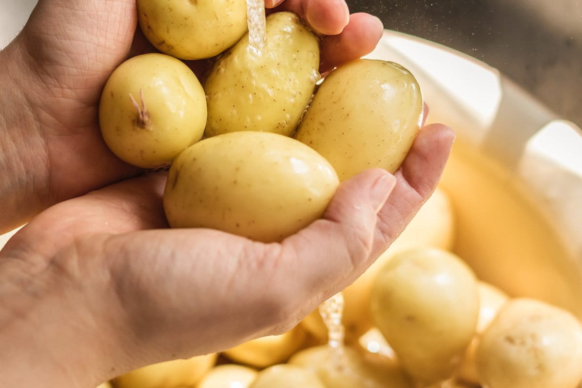 potato nutrition