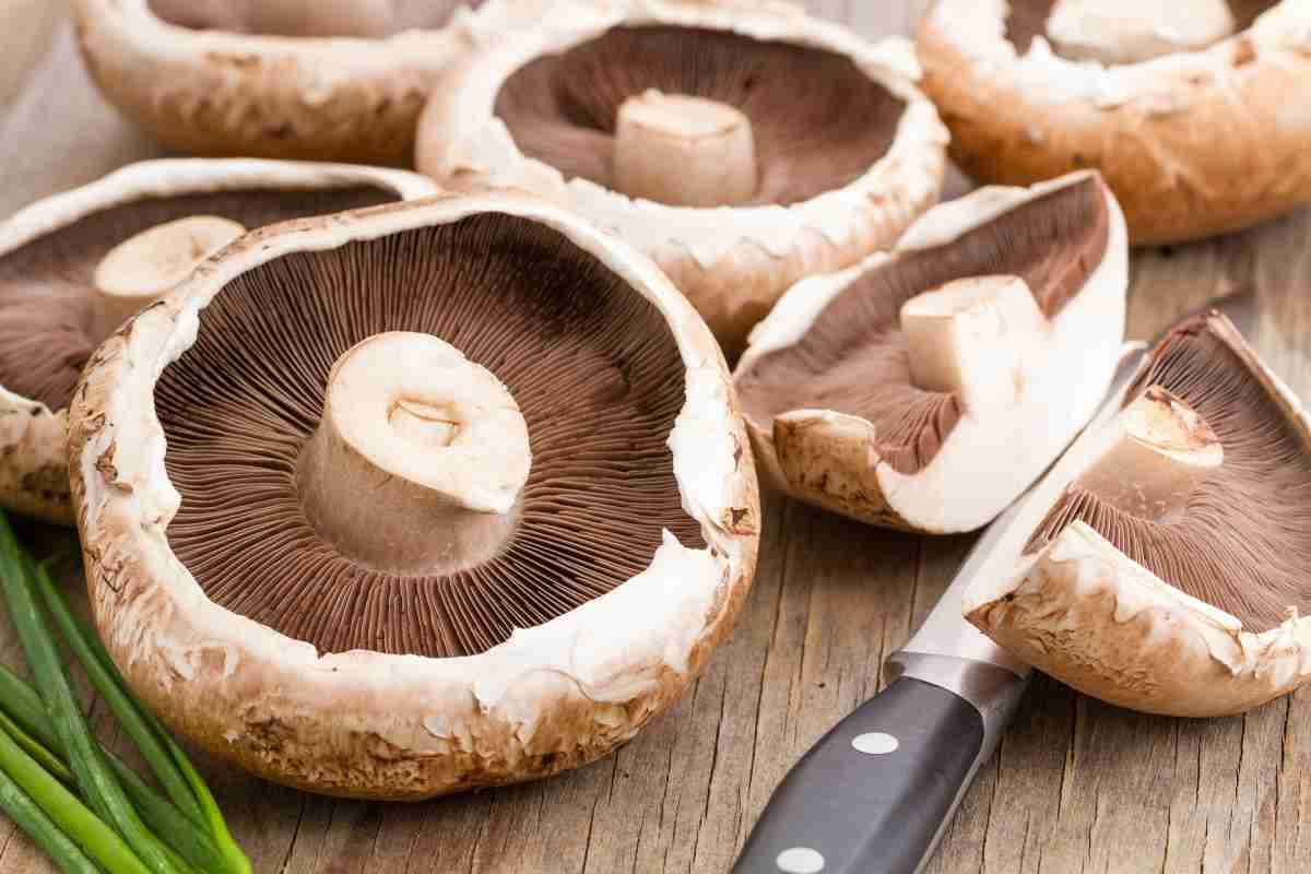 portobello mushroom nutrition facts