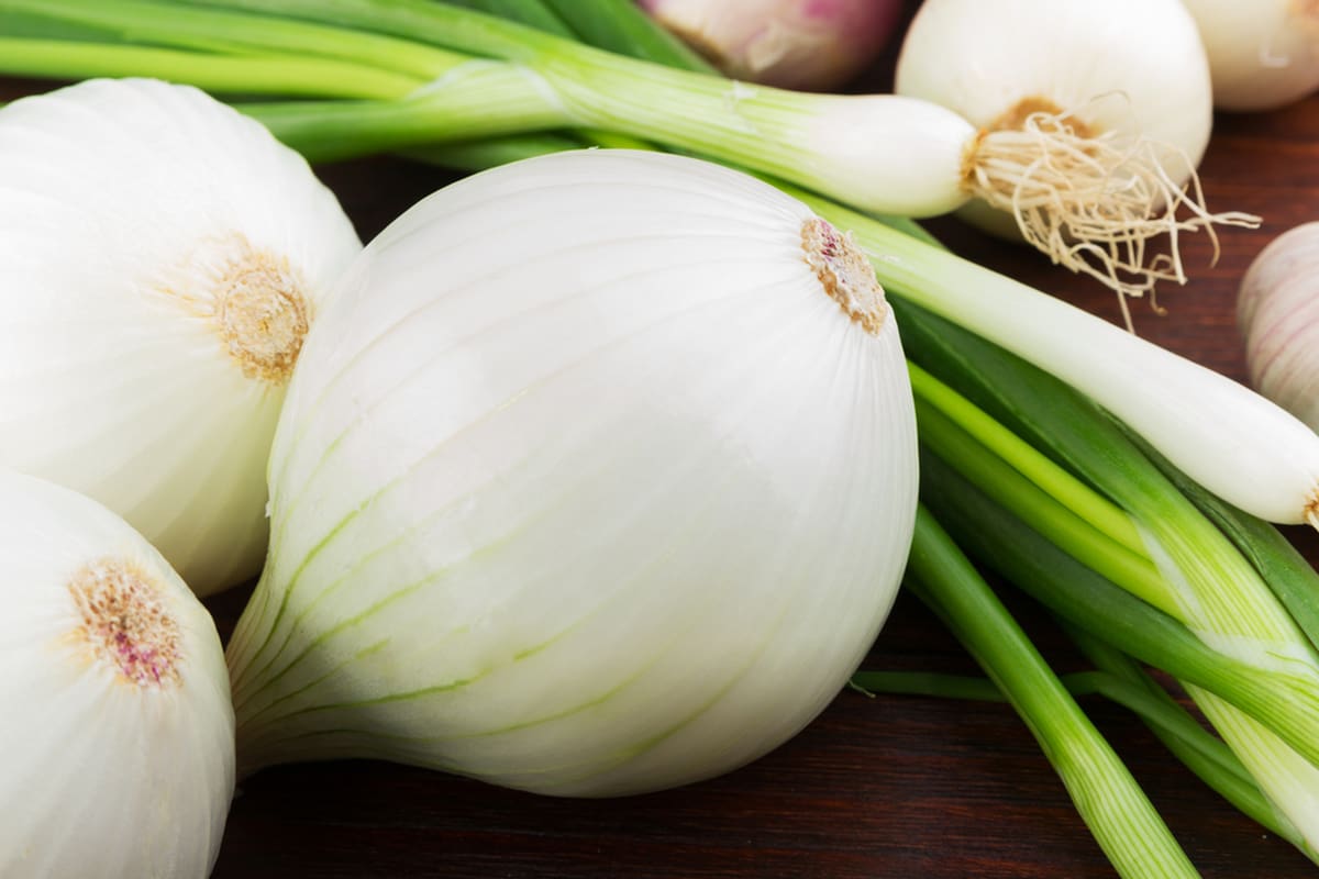 small white onions