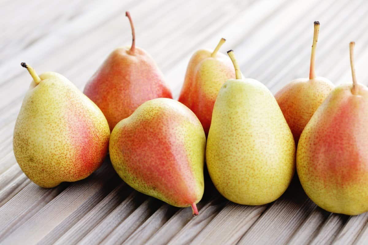 organic asian pears