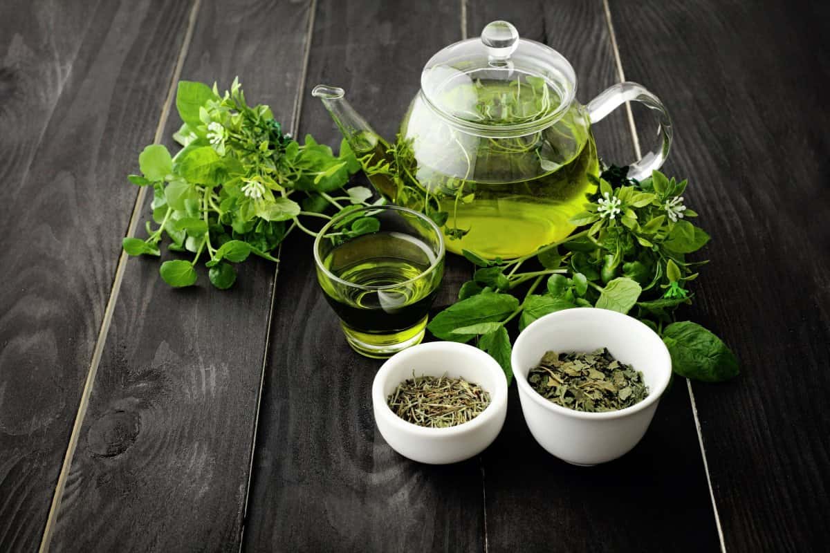 lipton green tea nutrition facts
