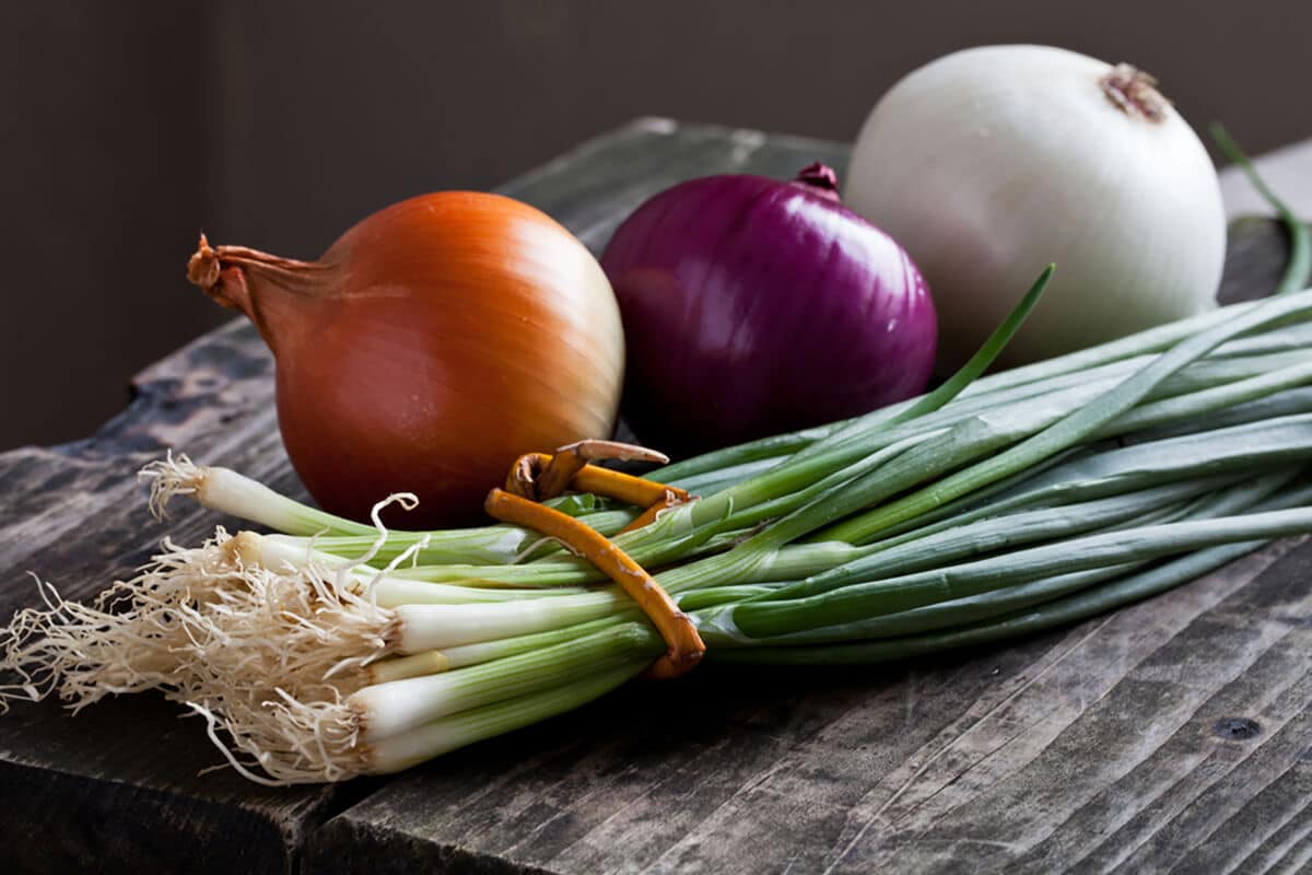 onion nutrition