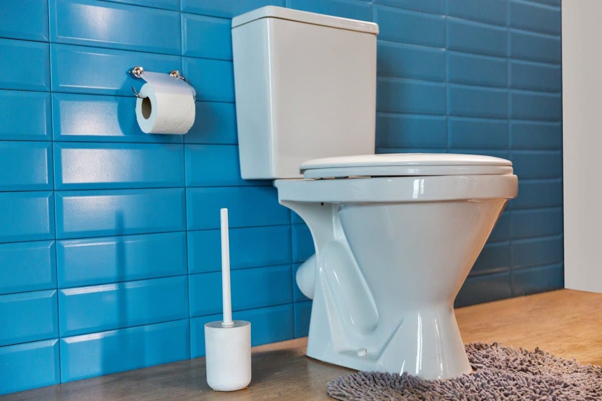ceramic toilet seat bunnings