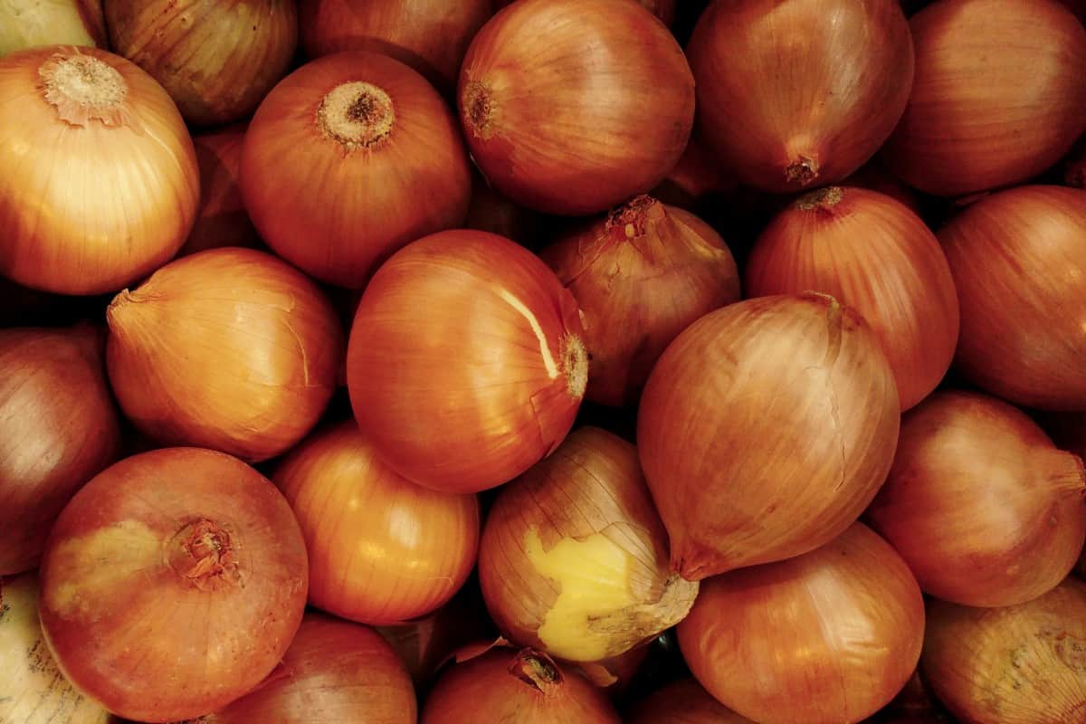 onion importers in qatar