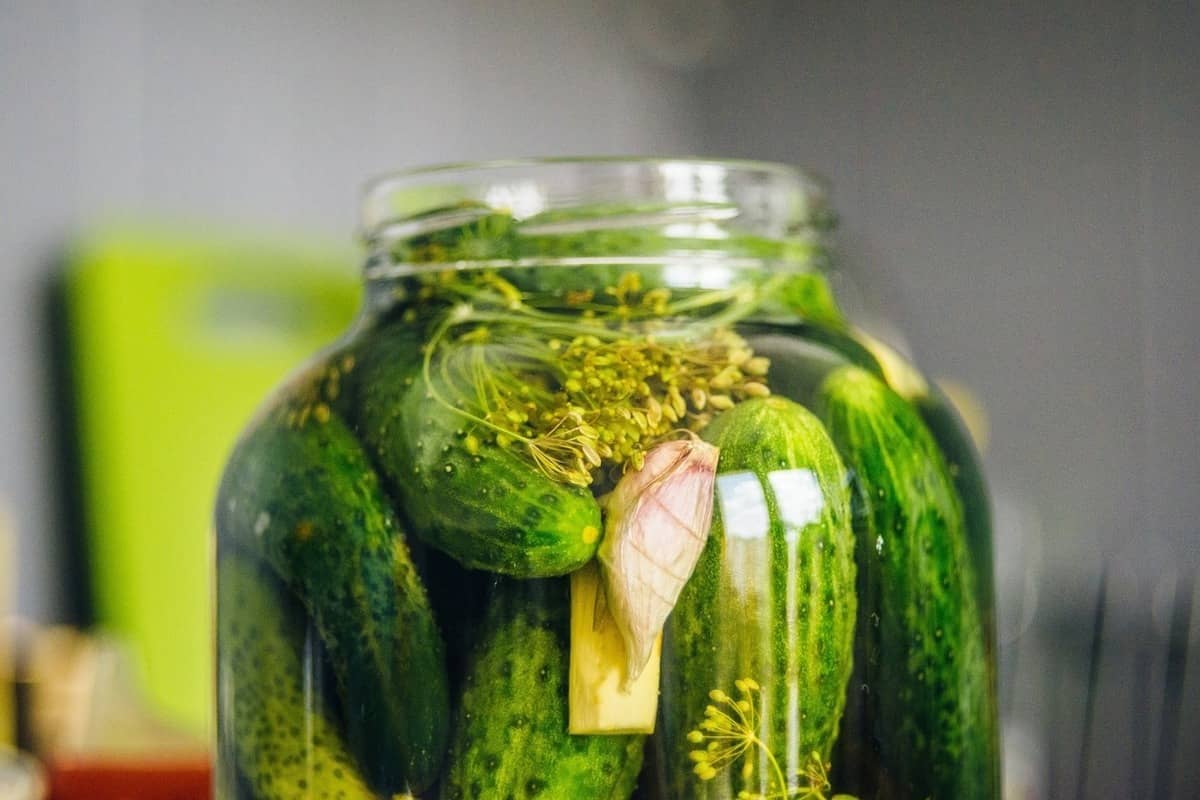 pickled small cucumber