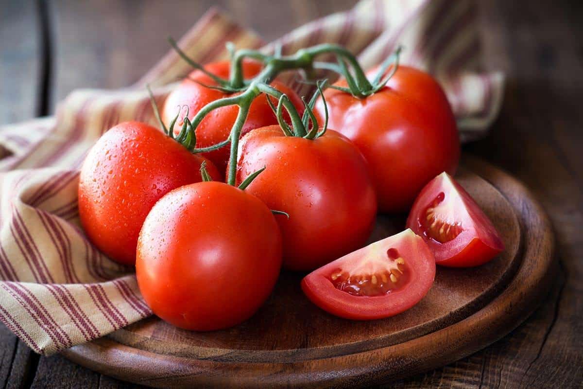 karnataka farmers tomato