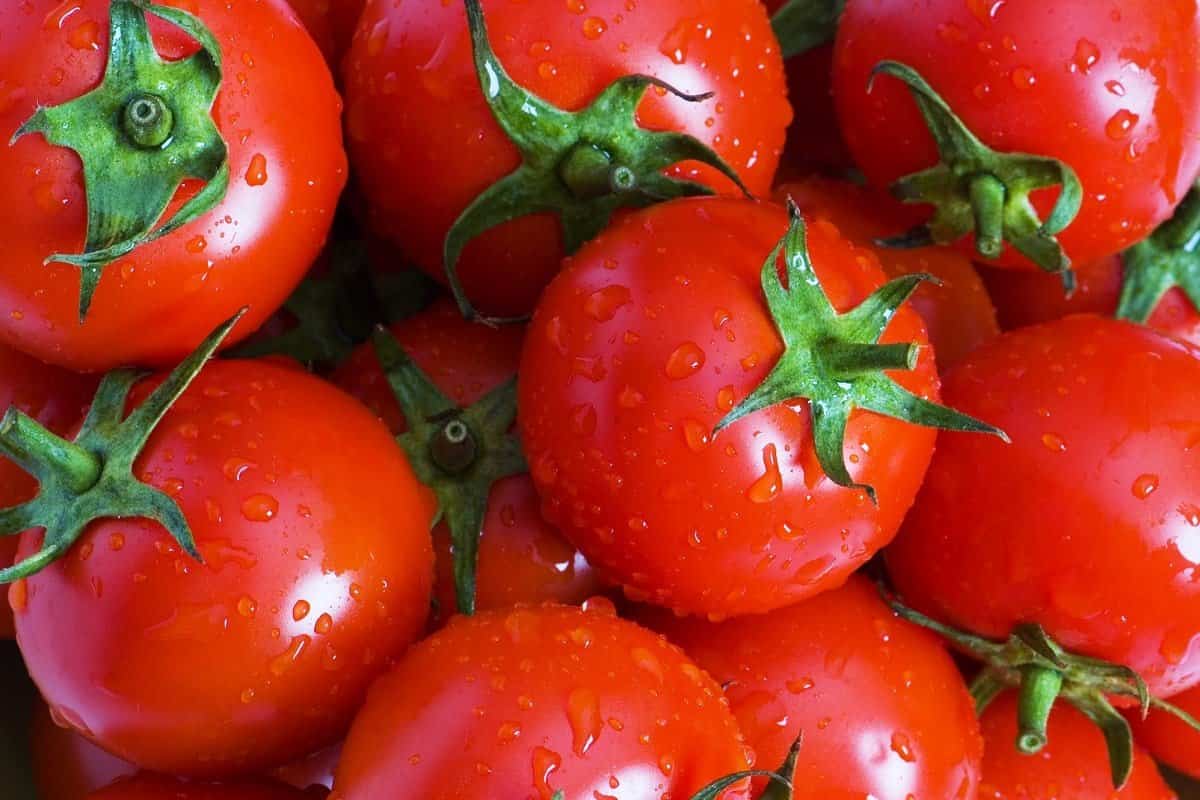 karnataka tomato chutney