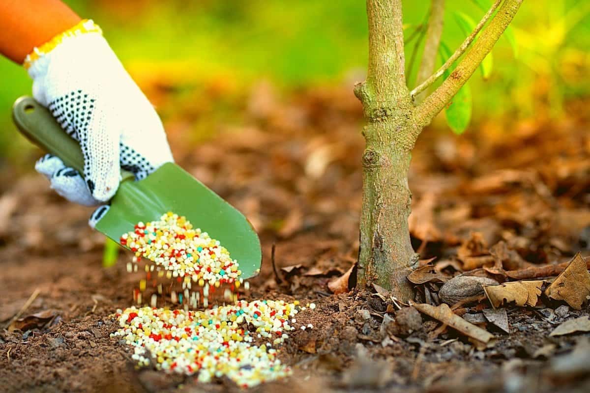 granular mop fertilizer