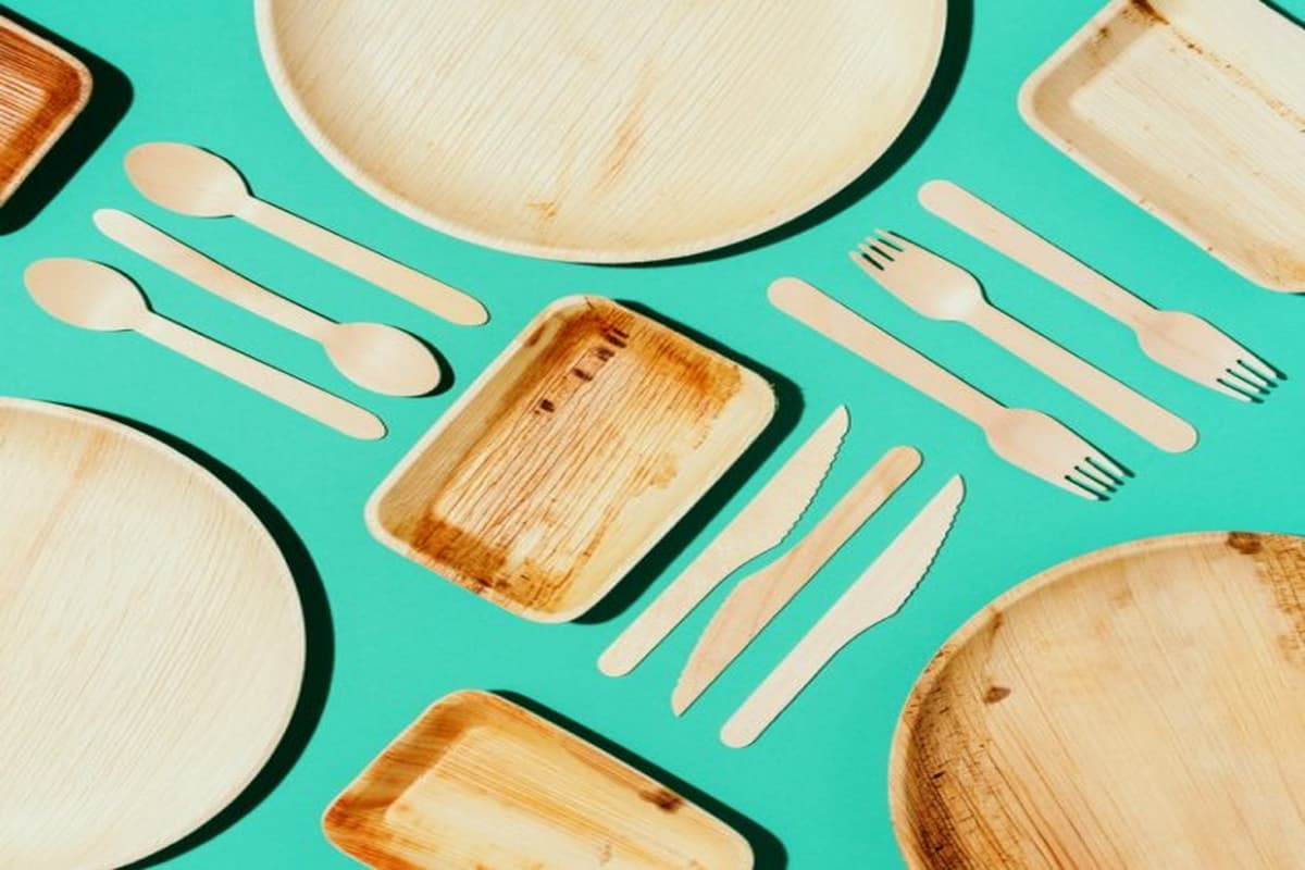 disposable wooden plates for wedding