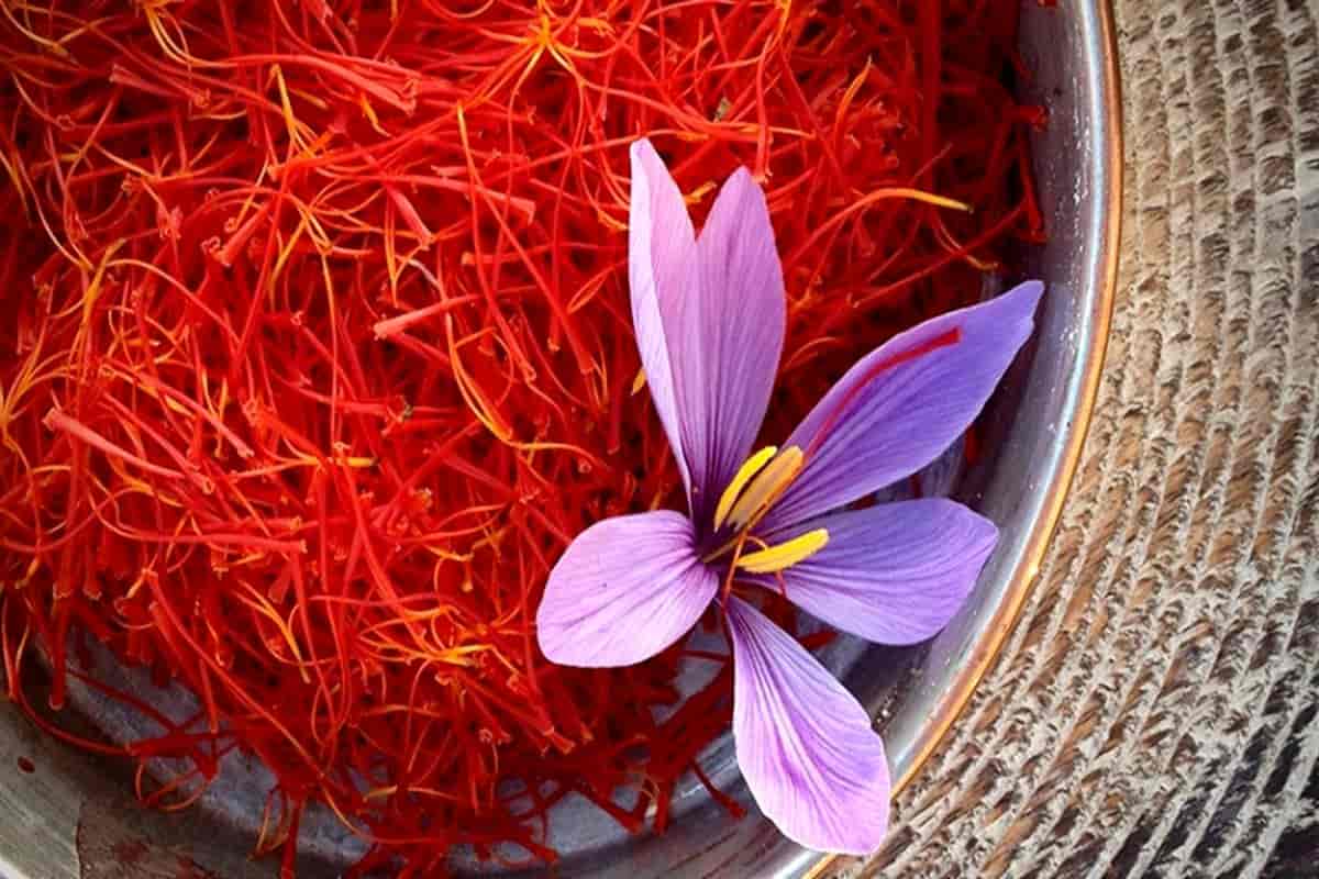 pure original saffron