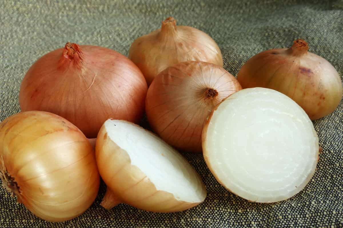 vidalia onion vinegarette