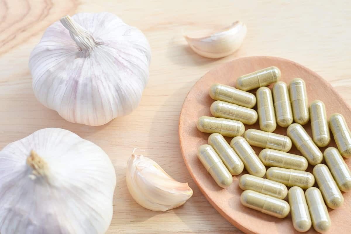 Garlic Powder Supplement