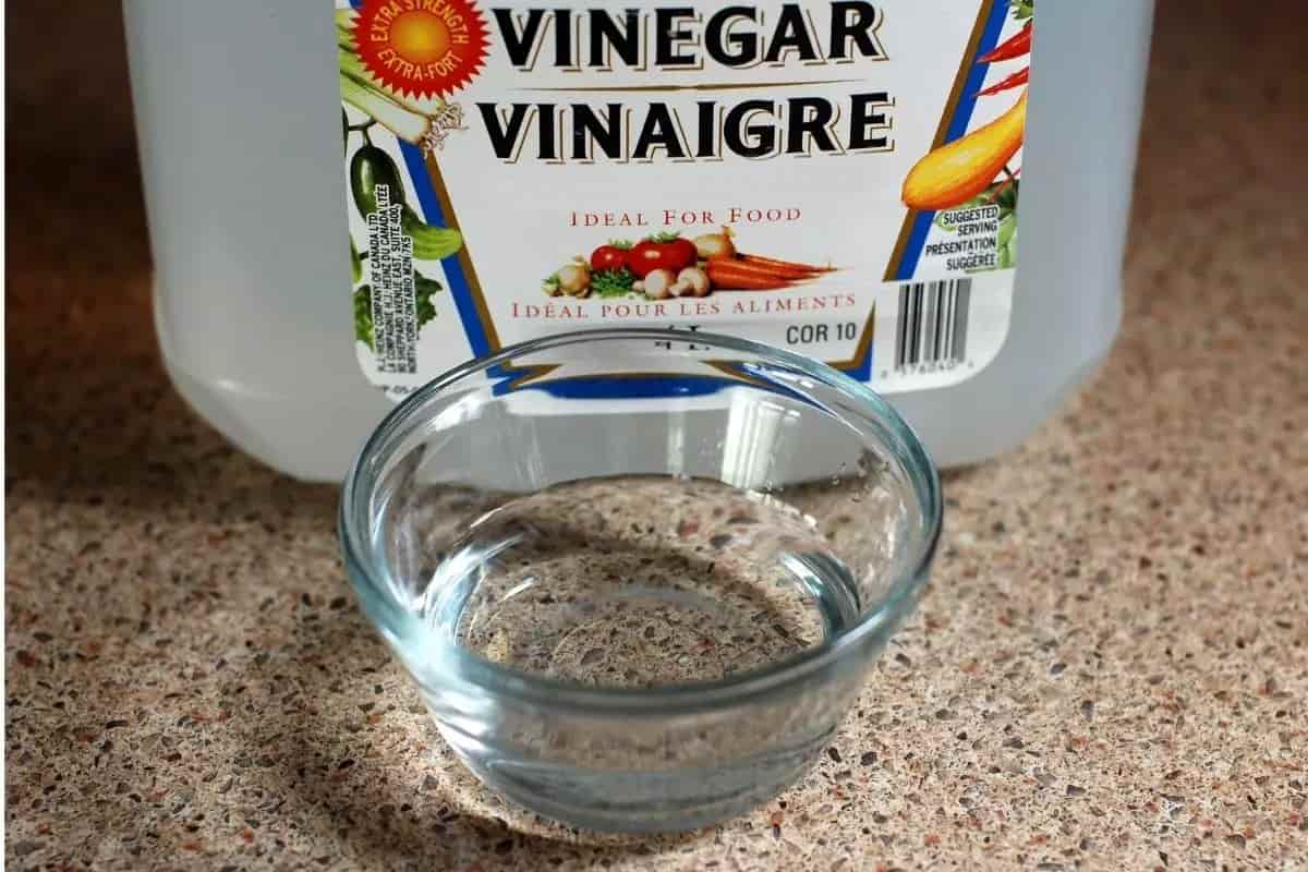 white vinegar organic