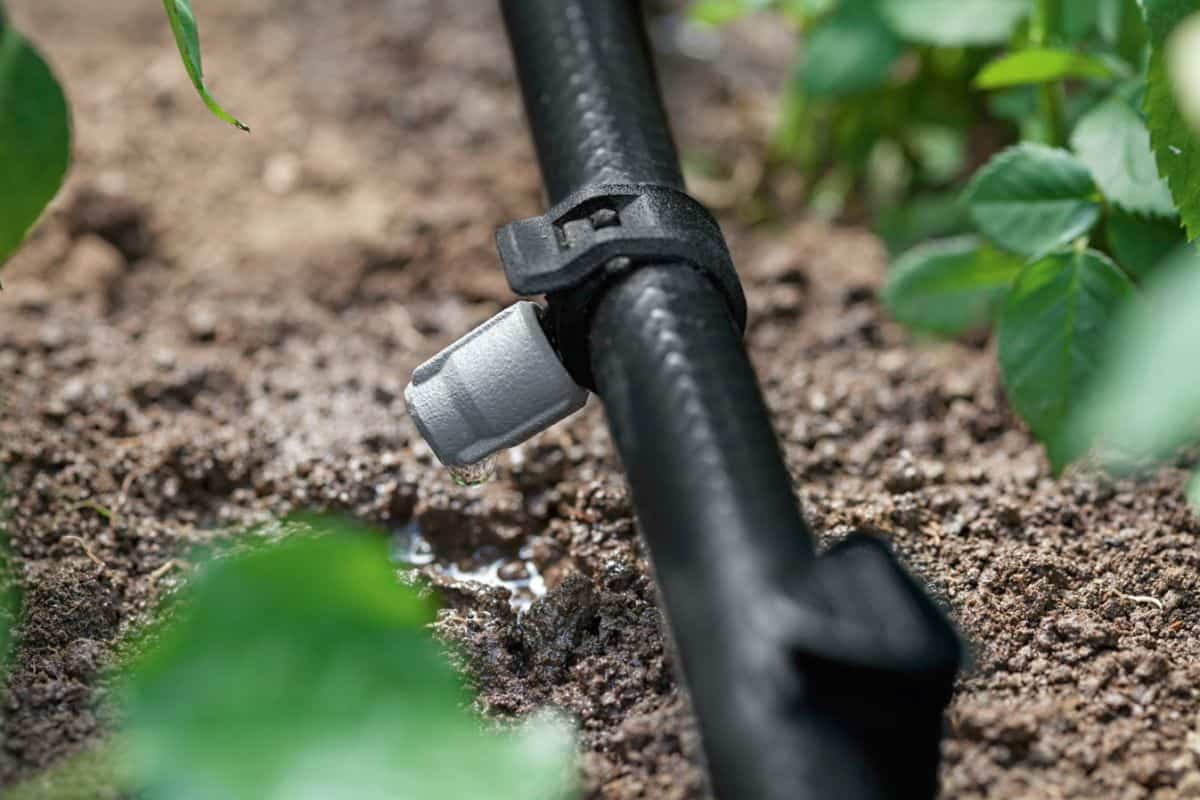 plastic rainwater pipe fittings