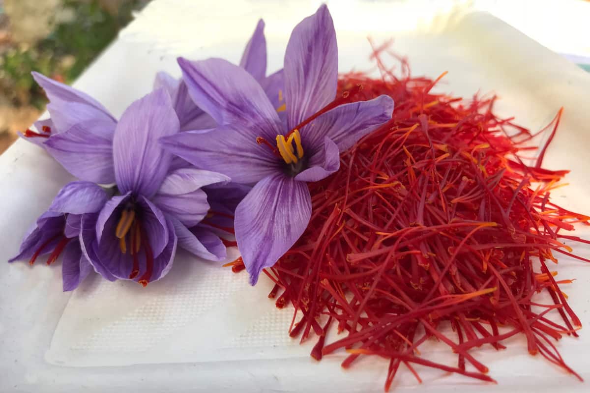 saffron packaging