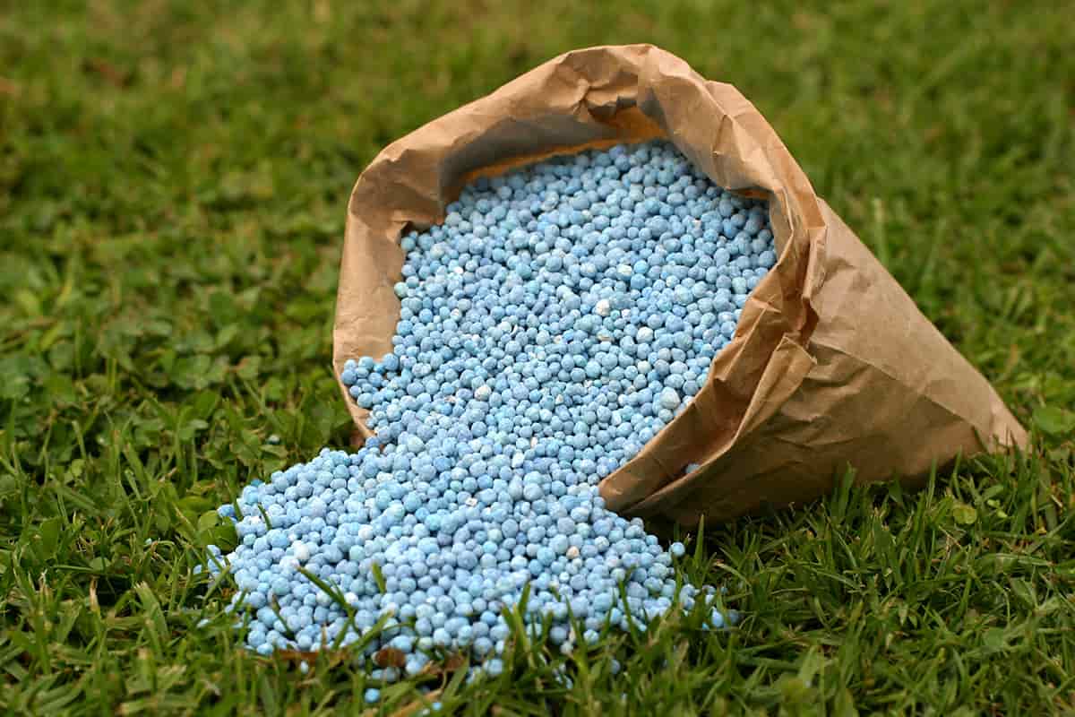 urea potash fertilizer