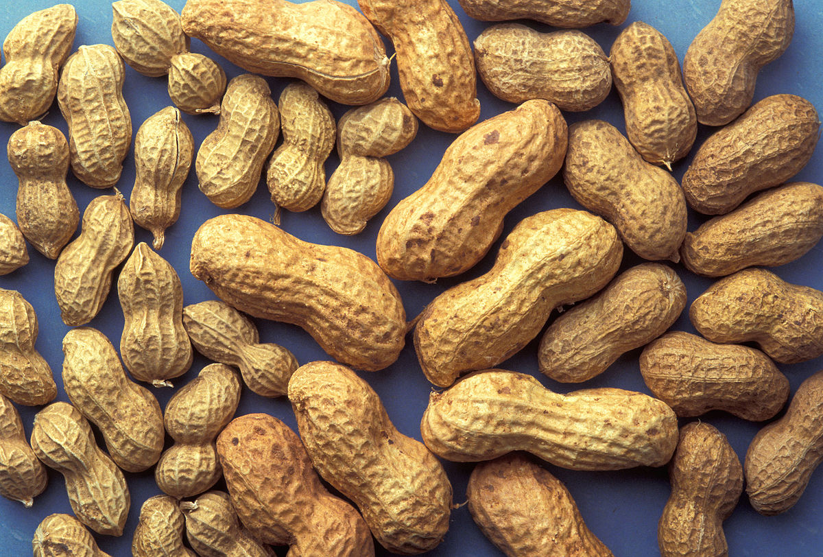 Peanuts Benefits and Erection